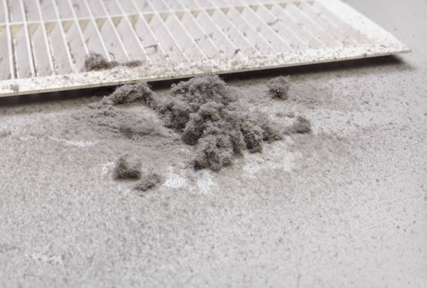 Best Air Duct Cleaning Near Me  in Lemoyne, PA