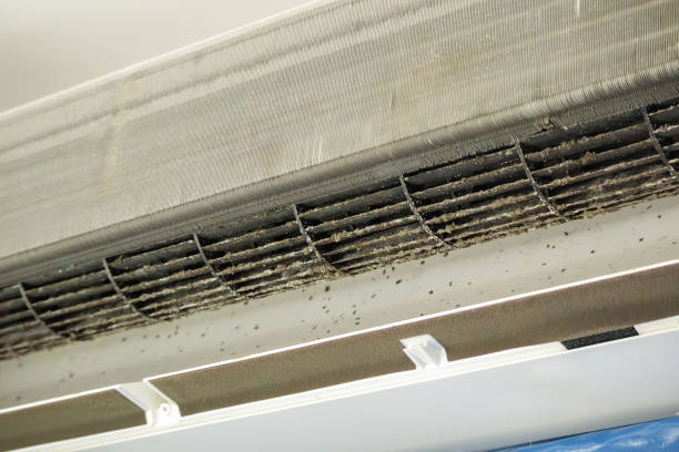 Best HVAC Air Duct Cleaning  in Lemoyne, PA